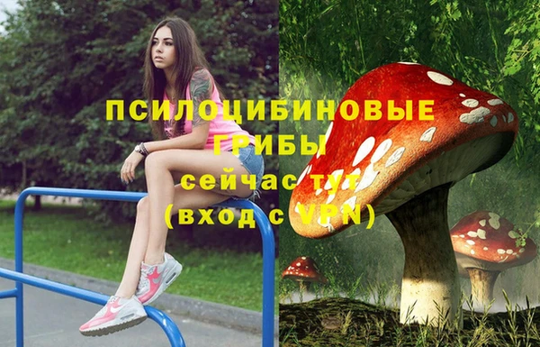 гидропоника Киреевск