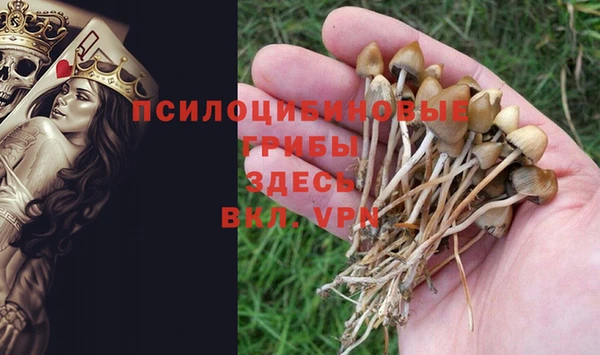 2c-b Киренск