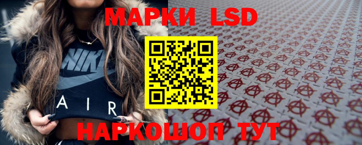 мега как зайти  Бердск  ЛСД экстази кислота  LSD-25 экстази ecstasy 