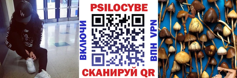 Псилоцибиновые грибы Psilocybe  Бердск 