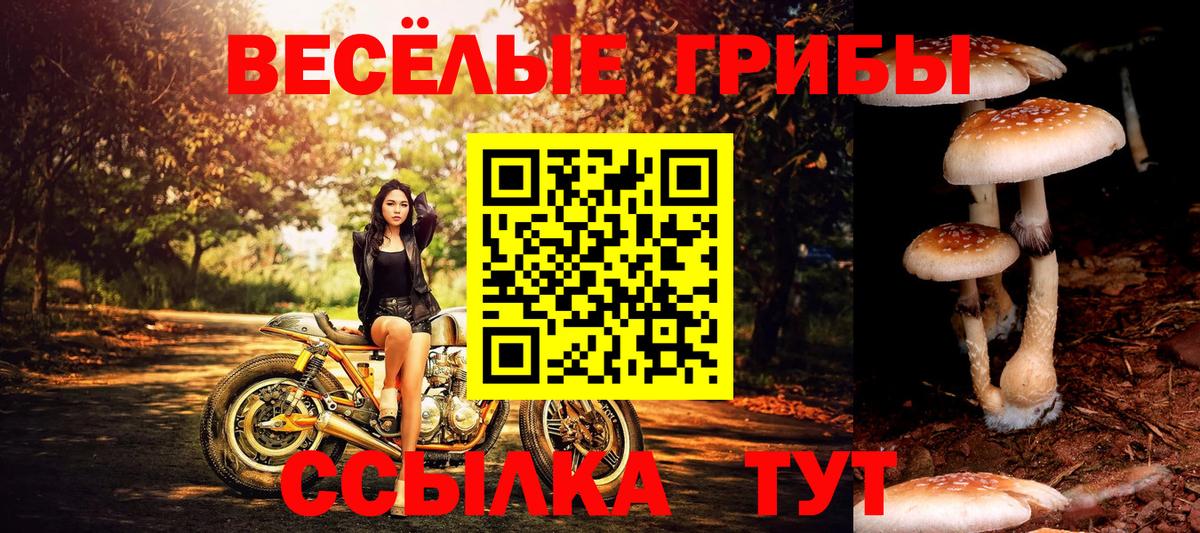 Бердск  Галлюциногенные грибы Psilocybe  Вход с VPN  Галлюциногенные грибы ЛСД 