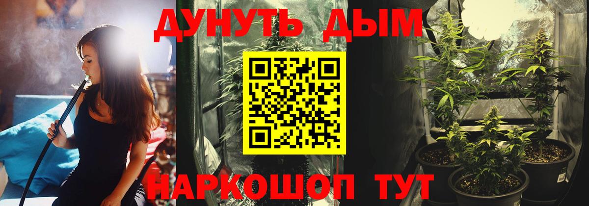 Бошки Шишки Amnesia Бердск